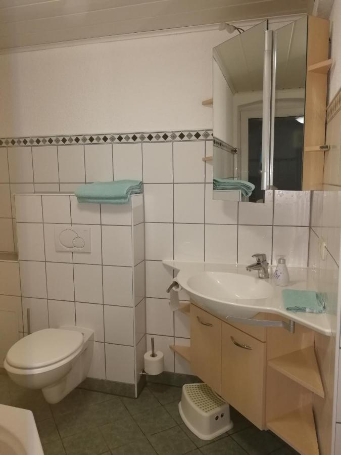 Ferienwohnung Simmert Kurort Gohrisch Dış mekan fotoğraf