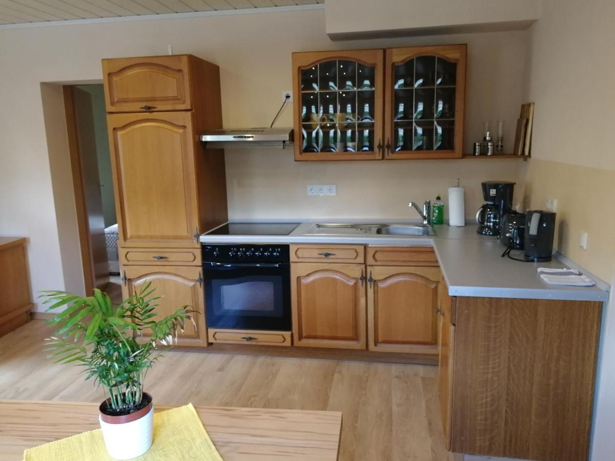 Ferienwohnung Simmert Kurort Gohrisch Dış mekan fotoğraf