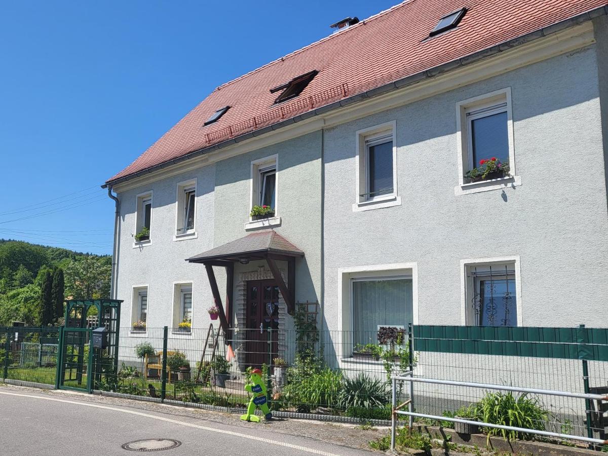 Ferienwohnung Simmert Kurort Gohrisch Dış mekan fotoğraf