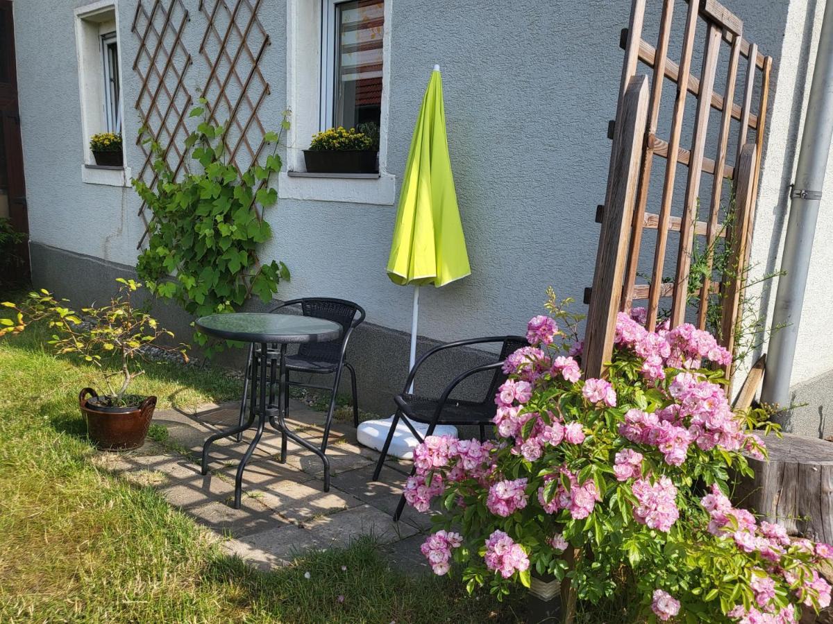 Ferienwohnung Simmert Kurort Gohrisch Dış mekan fotoğraf